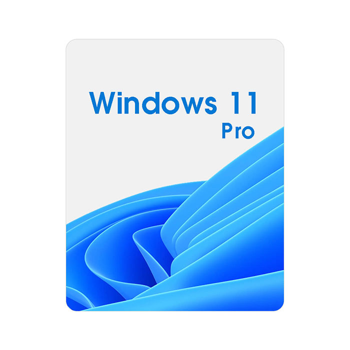 Windows 11 Pro 64-bit OEM Eng Intl 1pk DSP OEI DVD (FQC-10528)